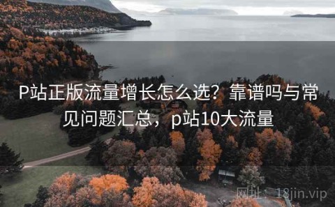 P站正版流量增长怎么选？靠谱吗与常见问题汇总，p站10大流量
