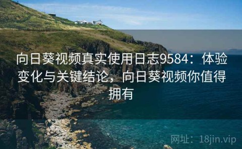 向日葵视频真实使用日志9584：体验变化与关键结论，向日葵视频你值得拥有