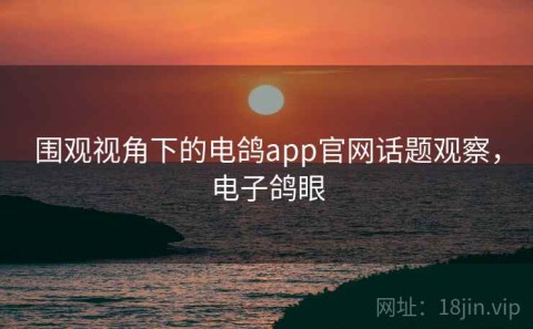 围观视角下的电鸽app官网话题观察，电子鸽眼