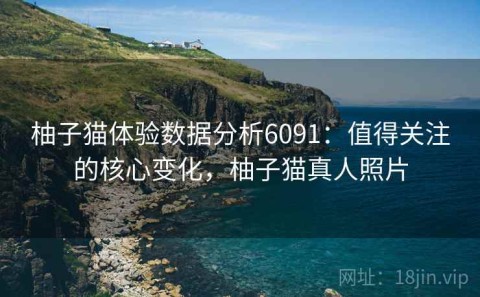 柚子猫体验数据分析6091：值得关注的核心变化，柚子猫真人照片