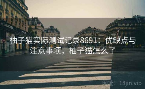 柚子猫实际测试记录8691：优缺点与注意事项，柚子猫怎么了