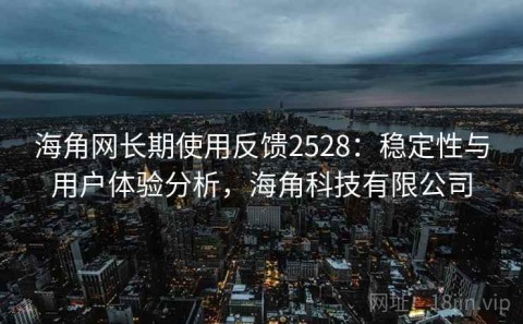 海角网长期使用反馈2528：稳定性与用户体验分析，海角科技有限公司