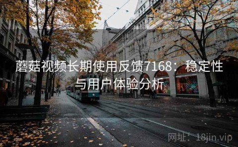 蘑菇视频长期使用反馈7168：稳定性与用户体验分析