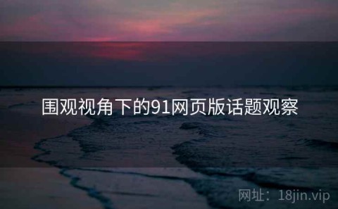 围观视角下的91网页版话题观察