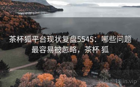 茶杯狐平台现状复盘5545：哪些问题最容易被忽略，茶杯 狐