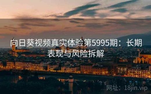 向日葵视频真实体验第5995期：长期表现与风险拆解