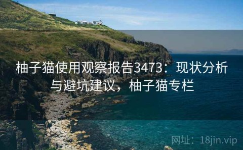 柚子猫使用观察报告3473：现状分析与避坑建议，柚子猫专栏