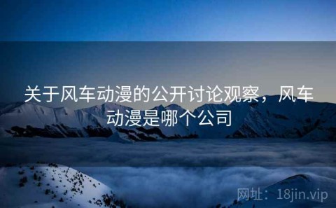 关于风车动漫的公开讨论观察，风车动漫是哪个公司