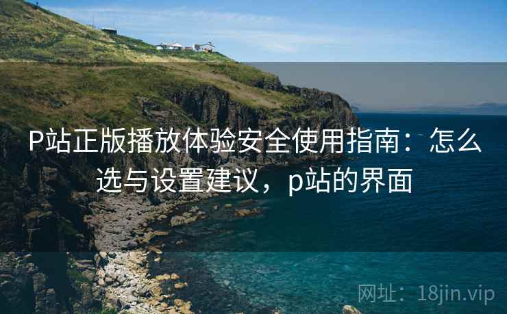 P站正版播放体验安全使用指南：怎么选与设置建议，p站的界面