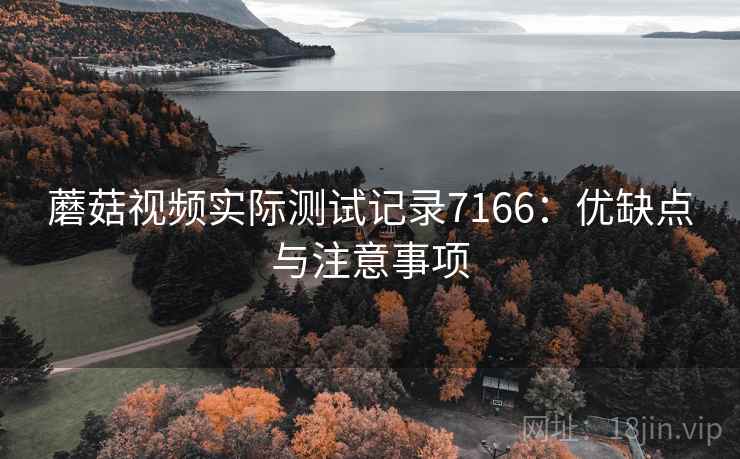 蘑菇视频实际测试记录7166：优缺点与注意事项