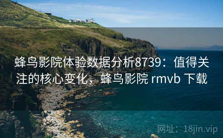 蜂鸟影院体验数据分析8739：值得关注的核心变化，蜂鸟影院 rmvb 下载