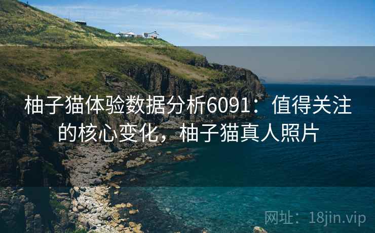 柚子猫体验数据分析6091：值得关注的核心变化，柚子猫真人照片