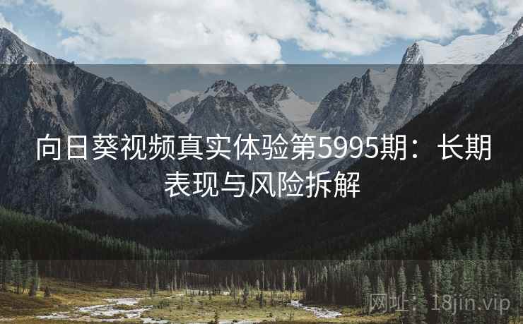 向日葵视频真实体验第5995期：长期表现与风险拆解
