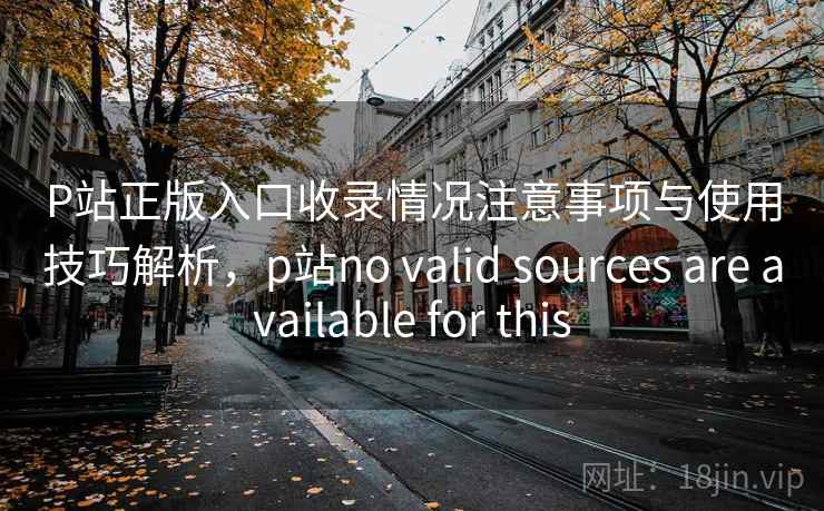 P站正版入口收录情况注意事项与使用技巧解析，p站no valid sources are available for this