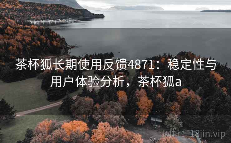 茶杯狐长期使用反馈4871：稳定性与用户体验分析，茶杯狐a