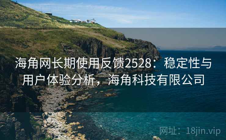 海角网长期使用反馈2528：稳定性与用户体验分析，海角科技有限公司