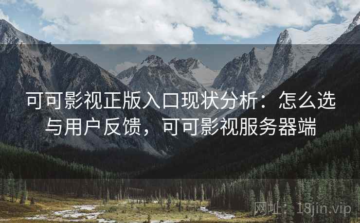 可可影视正版入口现状分析:怎么选与用户反馈,可可影视服务器端 可可影视正版入口现状分析:怎么选与用户反馈,可可影视服务器端